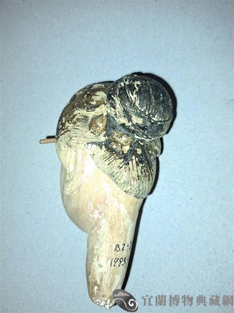 魁儡偶頭藏品圖，第2張