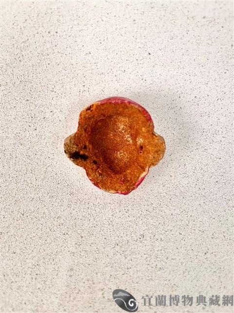 土黏香面具藏品圖，第2張