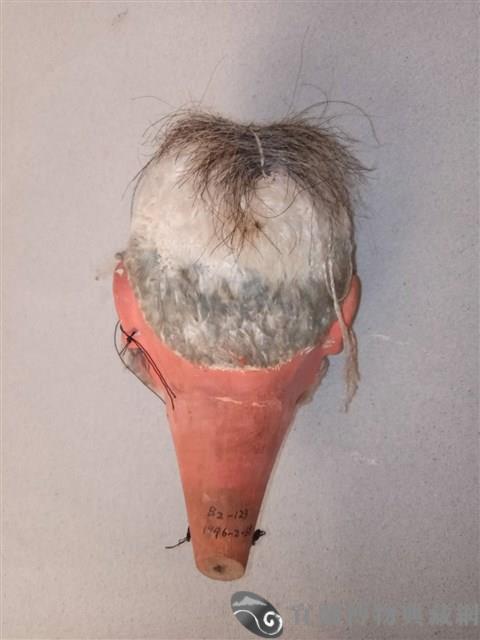 傀儡戲偶頭藏品圖，第2張