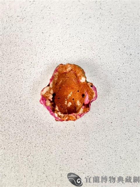 布袋戲臉譜藏品圖，第2張