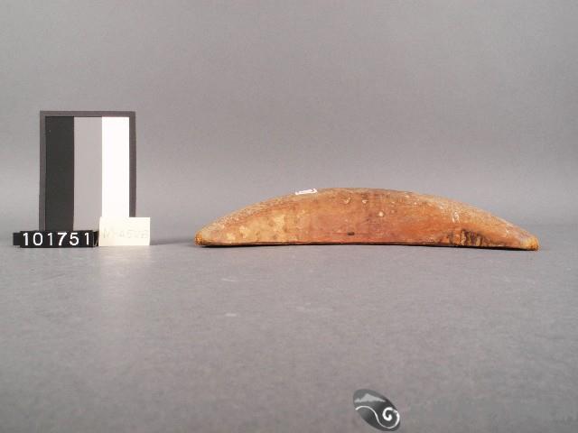 竹杯筊(右杯筊)藏品圖，第4張