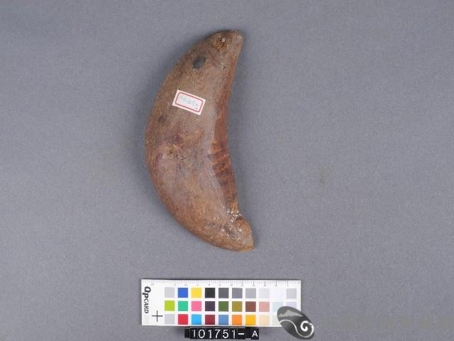 竹杯筊(左杯筊)藏品圖，第3張