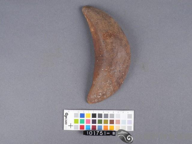 竹杯筊(右杯筊)藏品圖，第3張