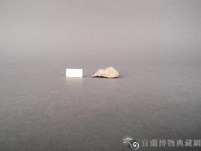 良渚玉殘件藏品圖，第2張