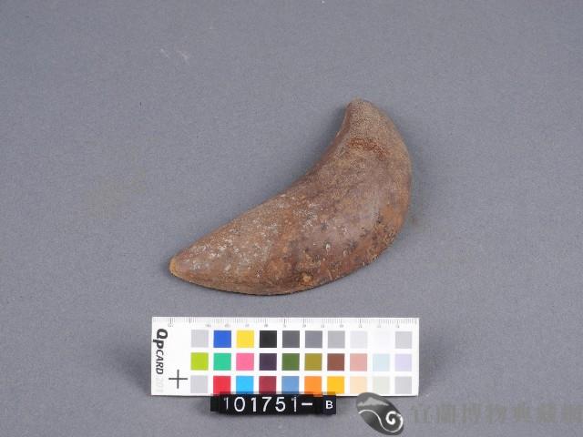 竹杯筊(右杯筊)藏品圖，第2張