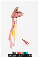 盔帽-武生巾藏品圖，第2張