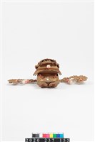 盔帽-金貂藏品圖，第6張